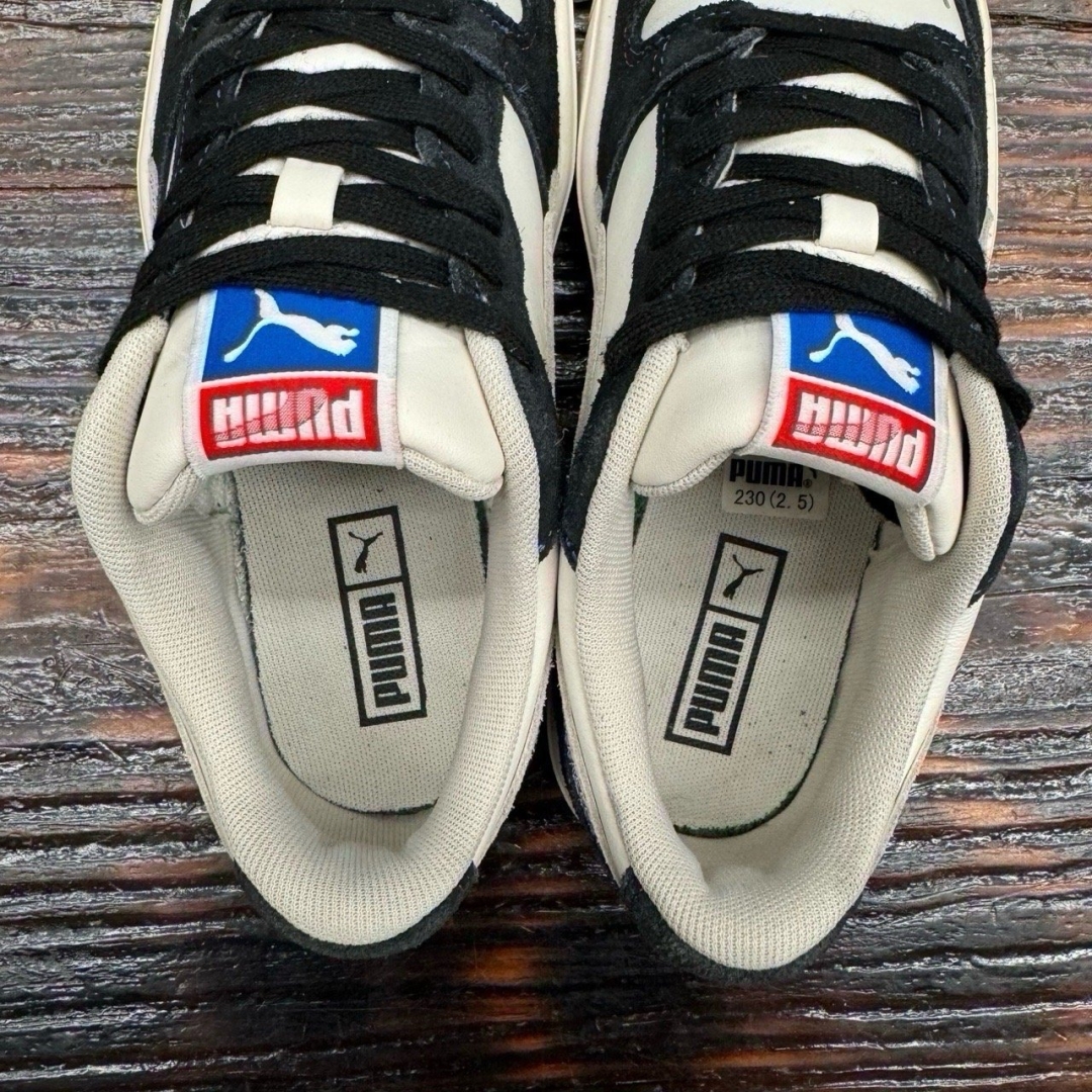 cs3777 - Puma Sky LX - 37