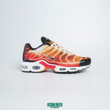 AM PLUS LIGHT PHOTOGRAPHY DS FB